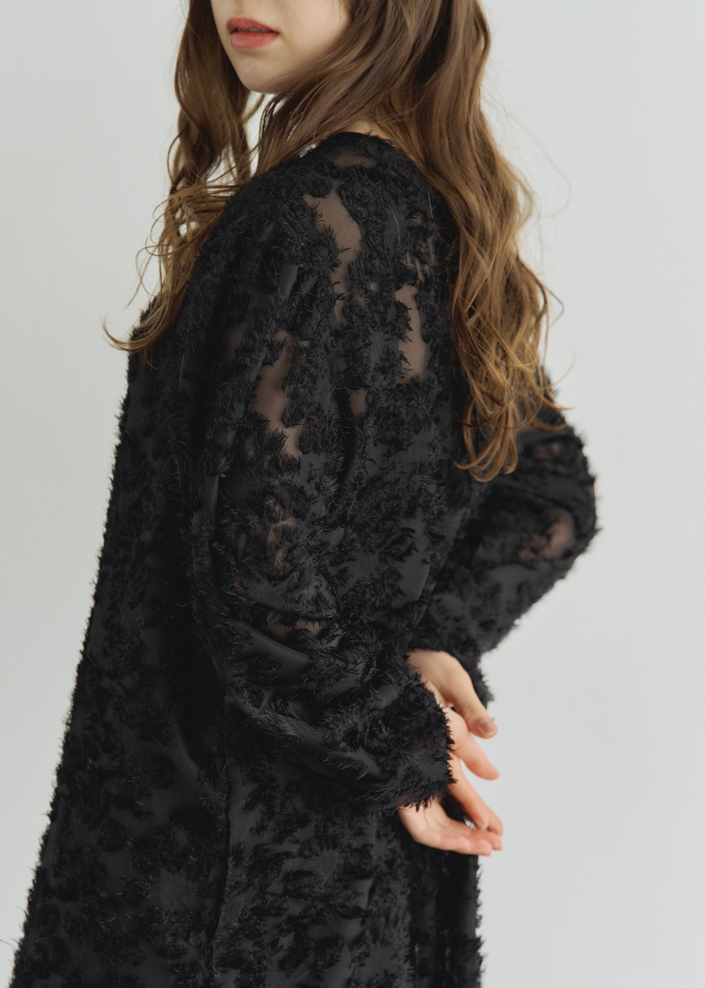 2WAY SHEER JACQUARD DRESS