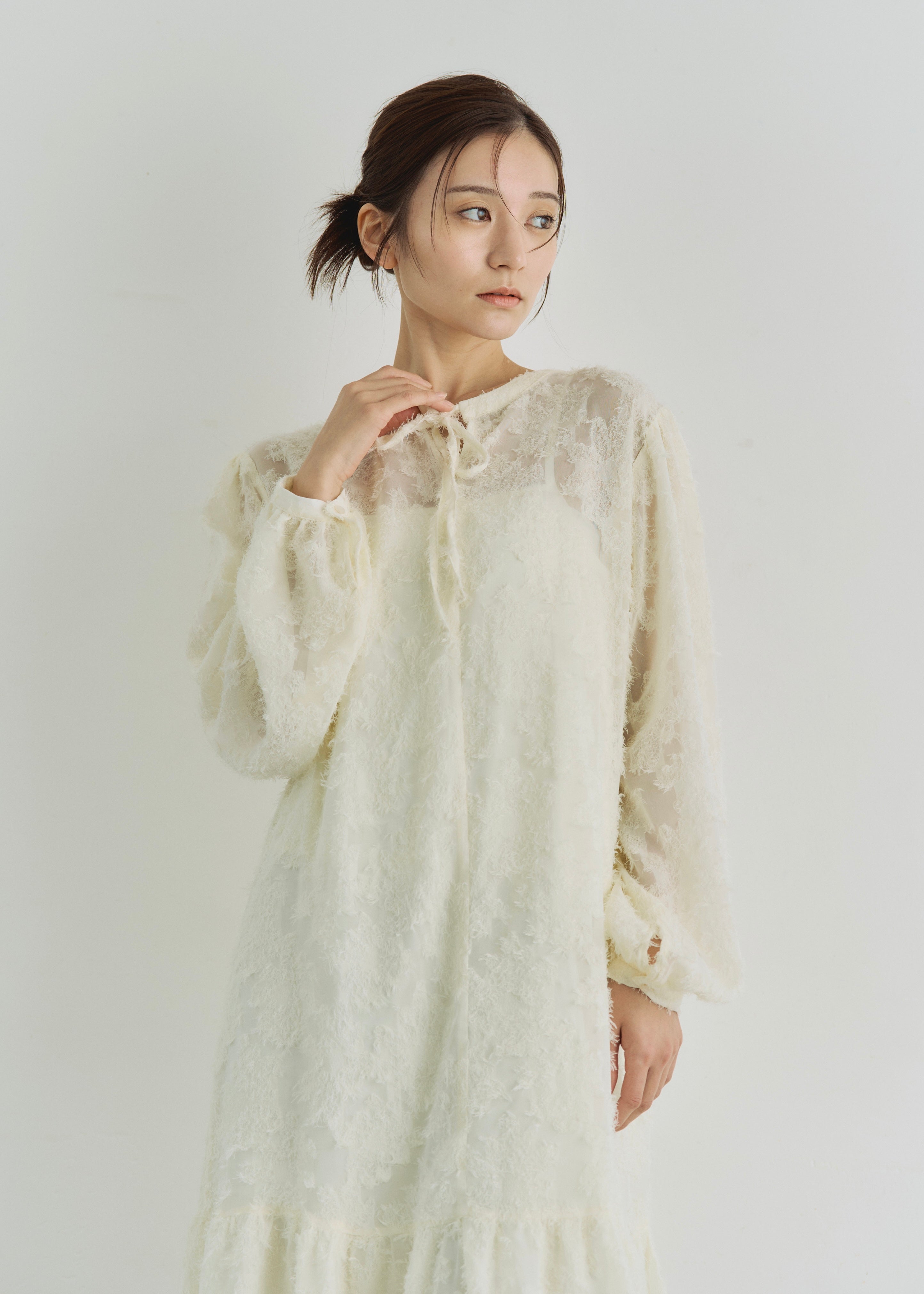 2WAY SHEER JACQUARD DRESS