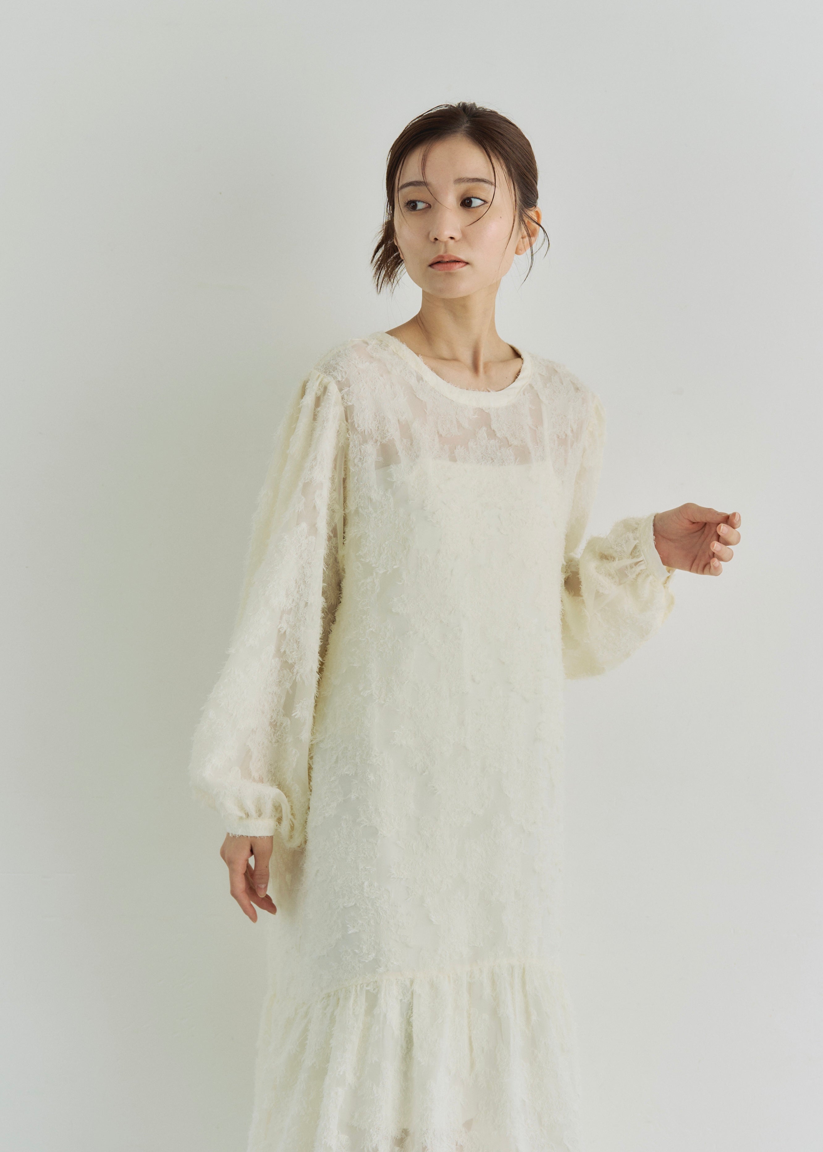 2WAY SHEER JACQUARD DRESS