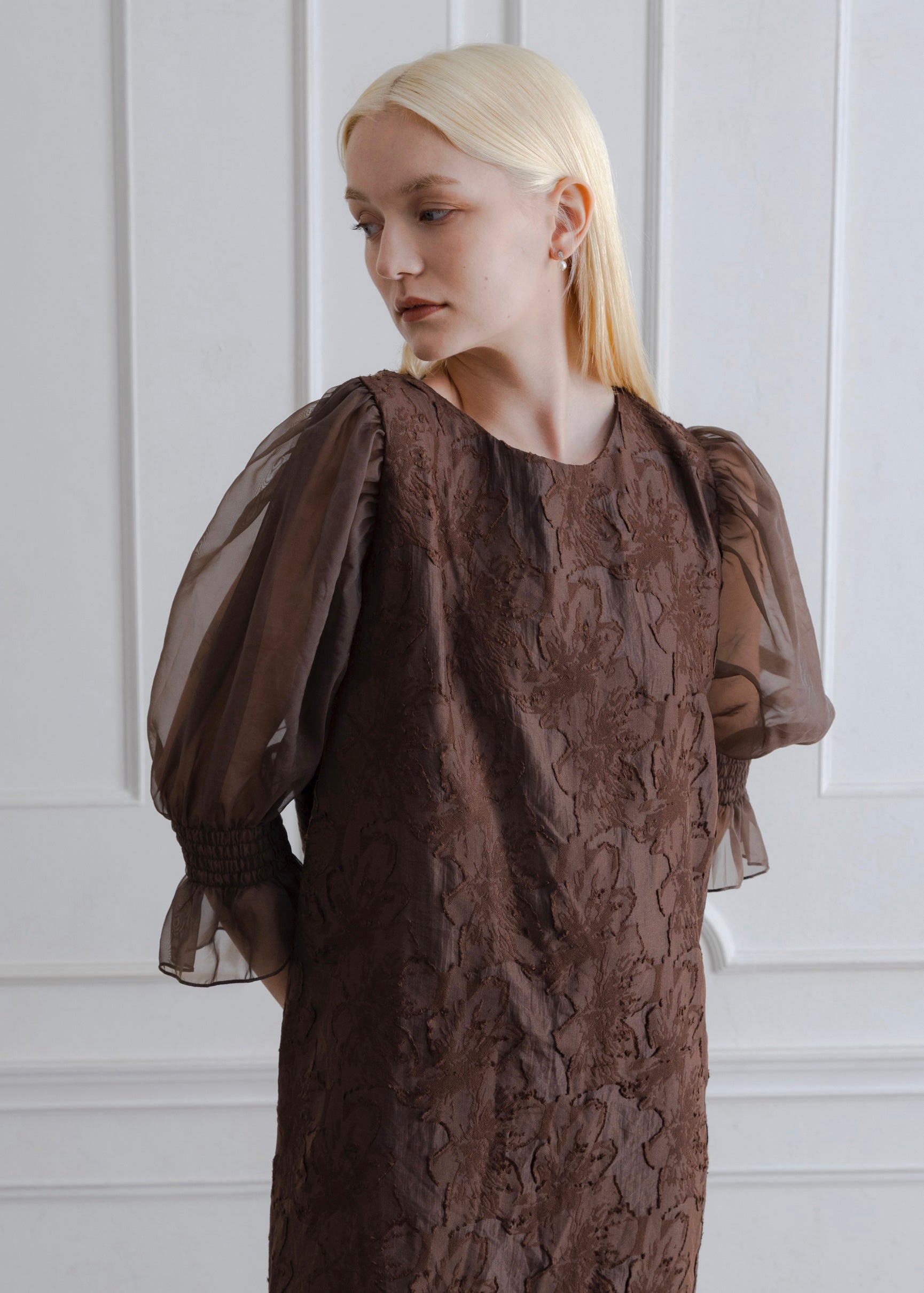 ORGANDY SLEEVE DRESS