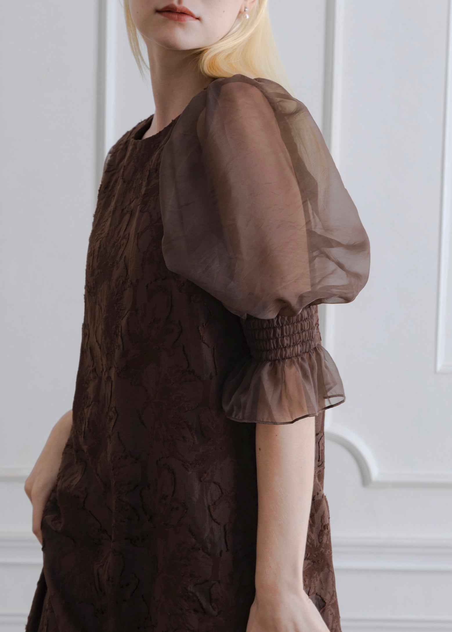 ORGANDY SLEEVE DRESS