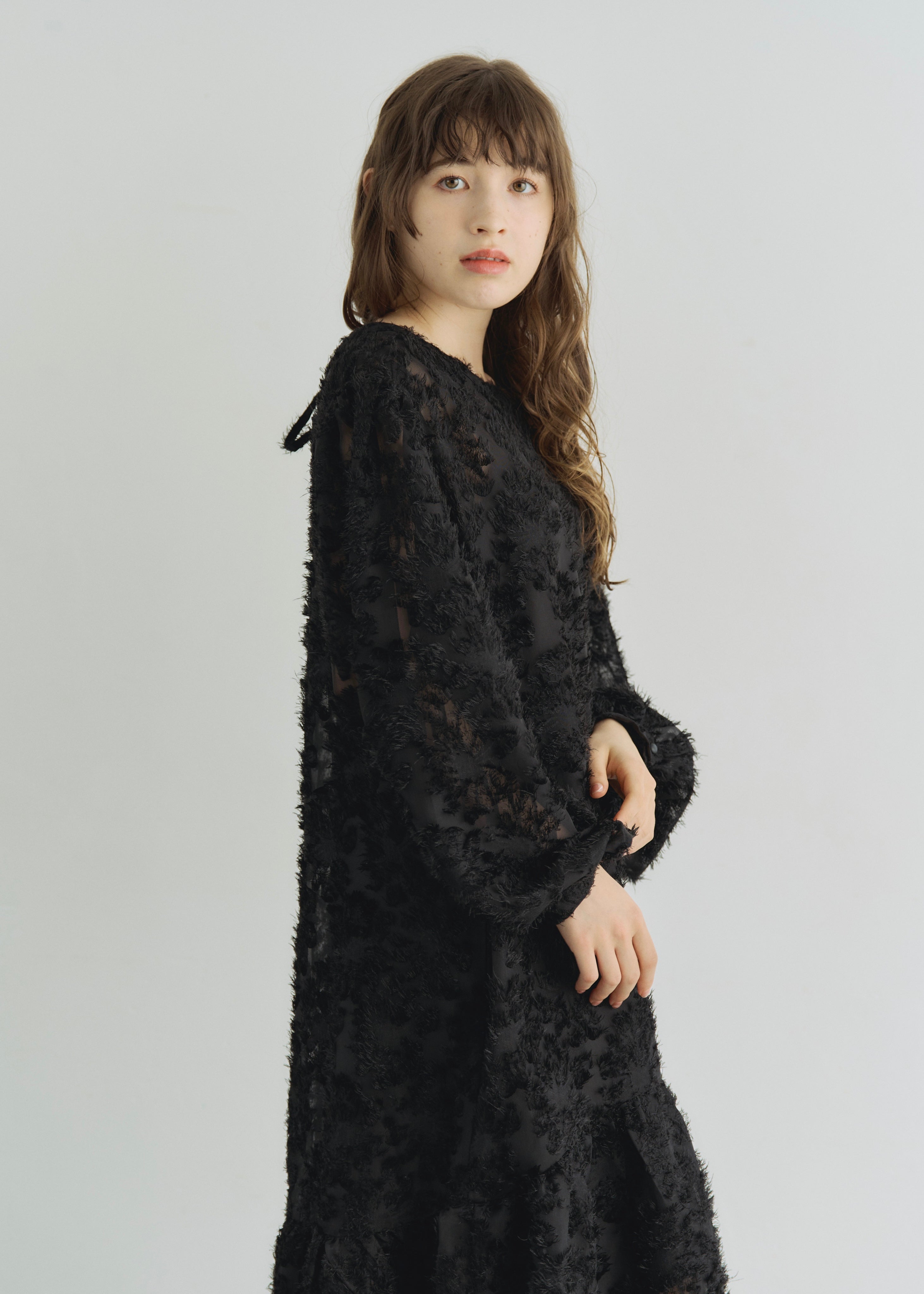 2WAY SHEER JACQUARD DRESS