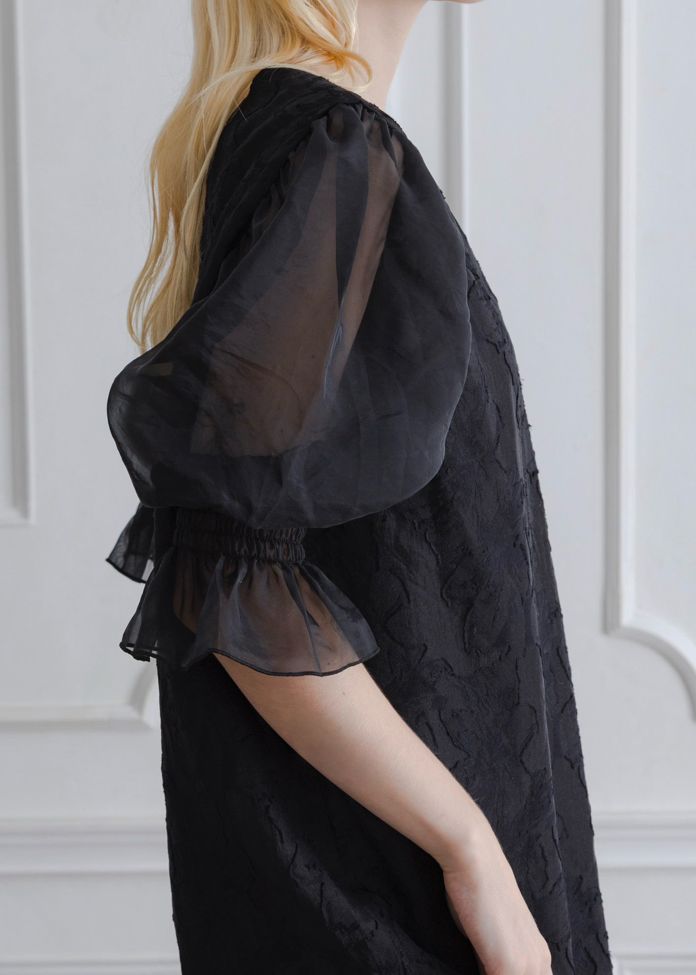ORGANDY SLEEVE DRESS