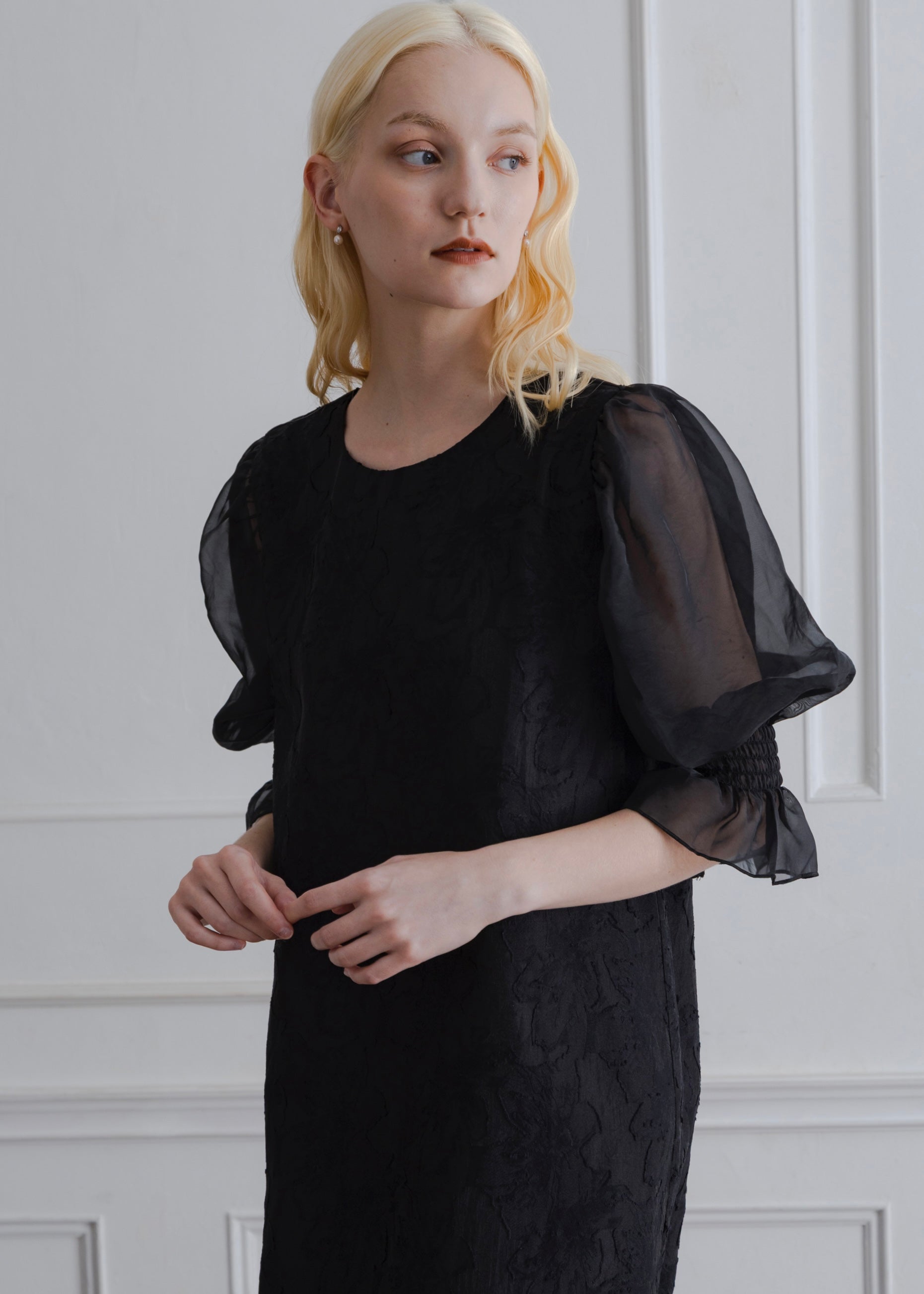 ORGANDY SLEEVE DRESS